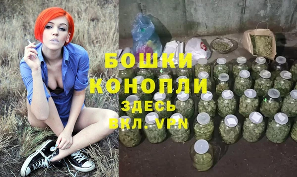 индика Балабаново