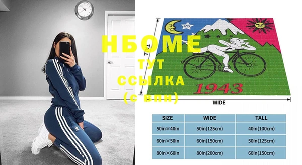индика Балабаново