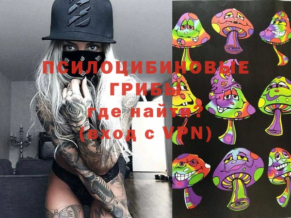 индика Балабаново