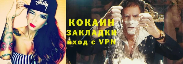 индика Балабаново
