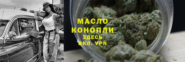 индика Балабаново