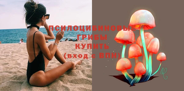 индика Балабаново